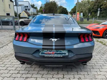 Mustang 2.3 ECO/Model-25/My-Colour/Spurh/Carpl/