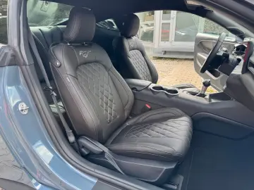 Mustang 2.3 ECO/Model-25/My-Colour/Spurh/Carpl/