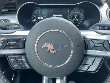 Mustang 2.3 EcoBoost *Digital*Premium*Mach1-Opt