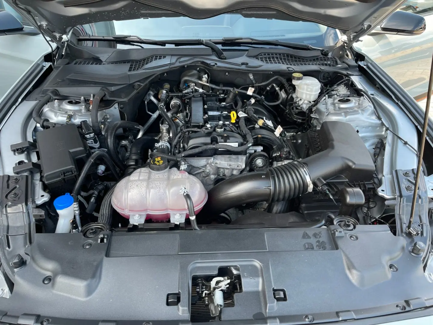 Mustang 2.3 EcoBoost *Digital*Premium*Mach1-Opt