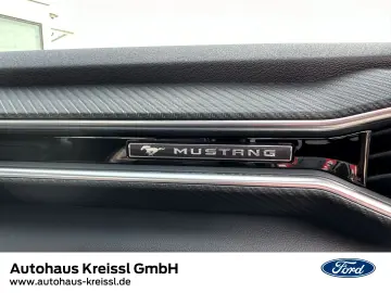 Mustang GT 5.0 Convertible Kompressor Fahrwerk &