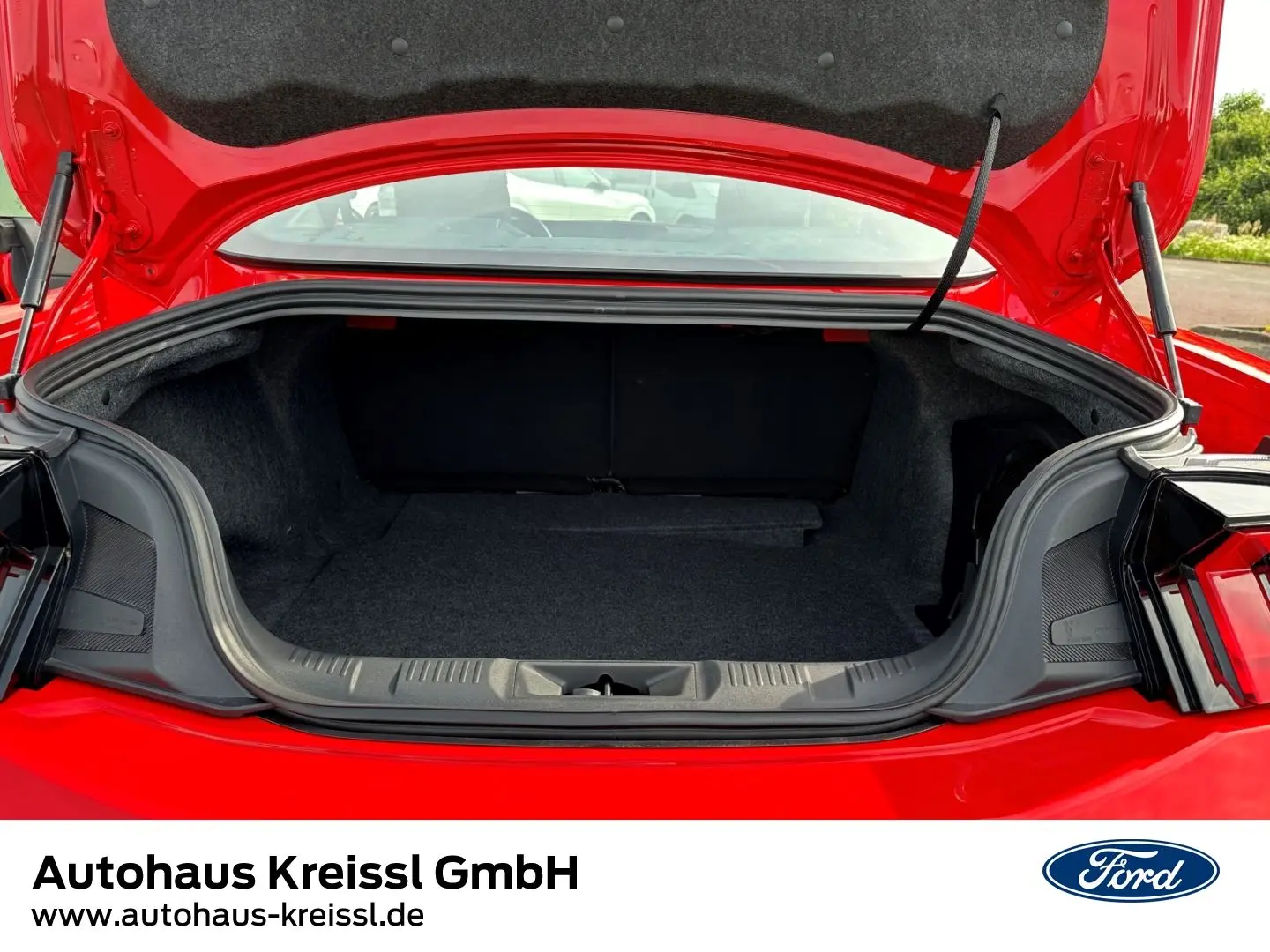 Mustang GT 5.0 Convertible Kompressor Fahrwerk &
