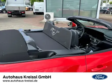 Mustang GT 5.0 Convertible Kompressor Fahrwerk &