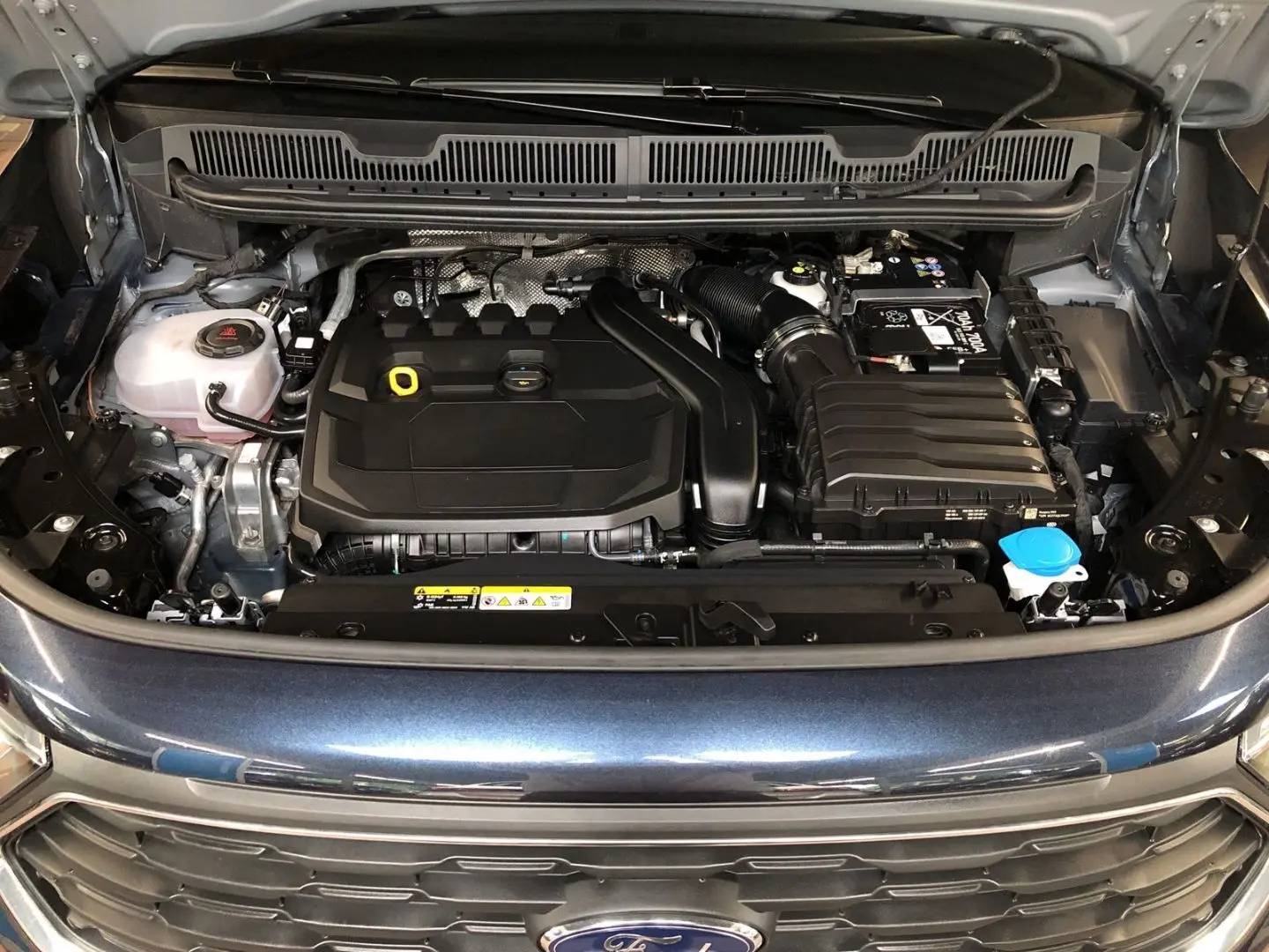 Tourneo Active 1.5 EcoBoost DSG Panorama Navi LE