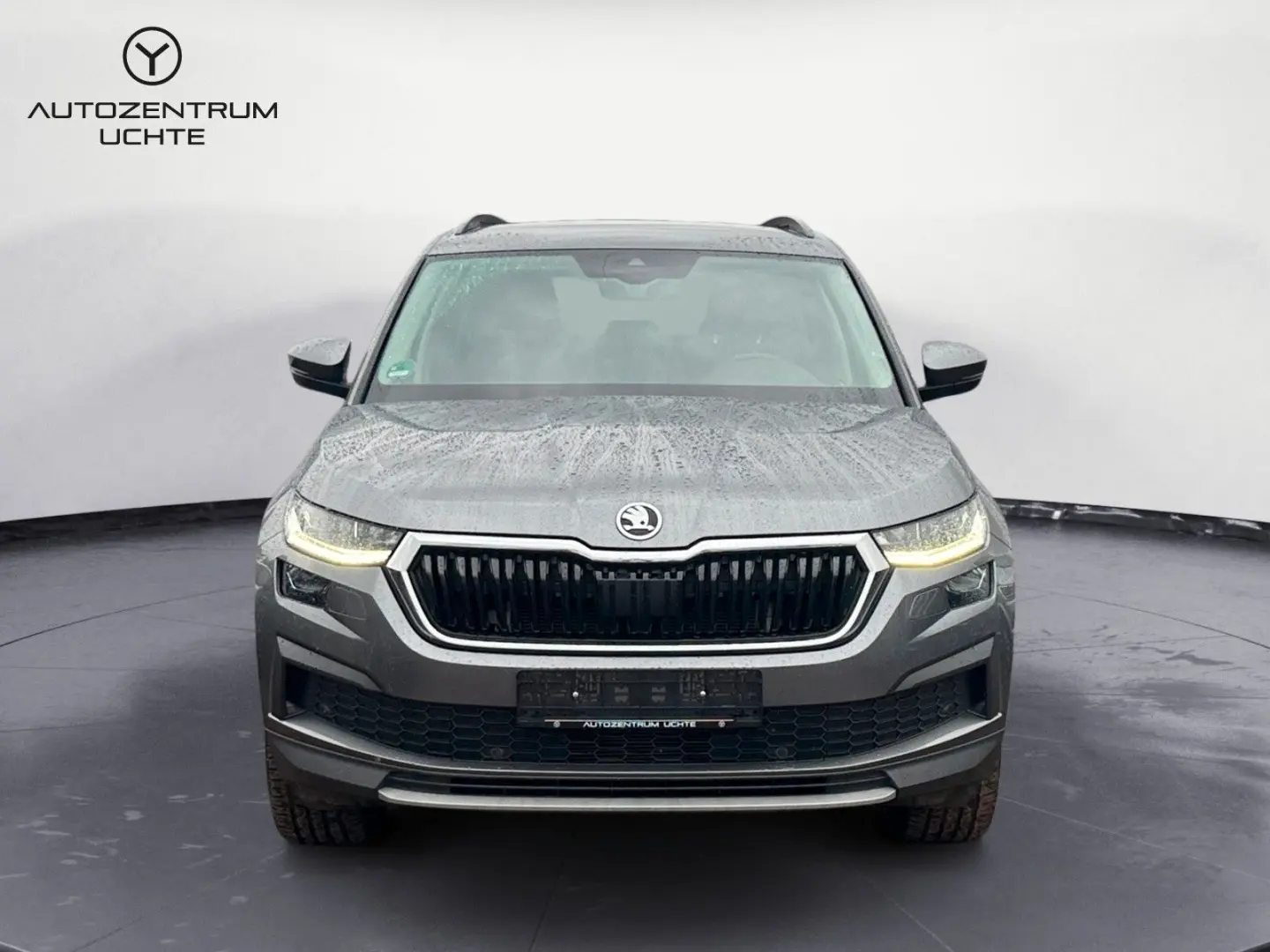 Kodiaq Tour/ACC/SIDE/KAMERA/NAVI/LED/APP/