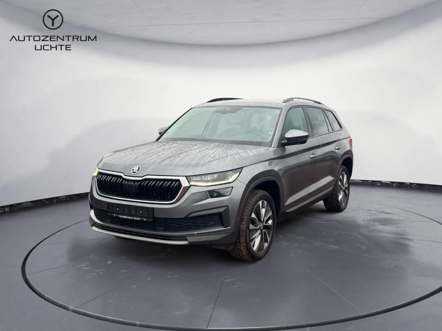 Kodiaq Tour/ACC/SIDE/KAMERA/NAVI/LED/APP/