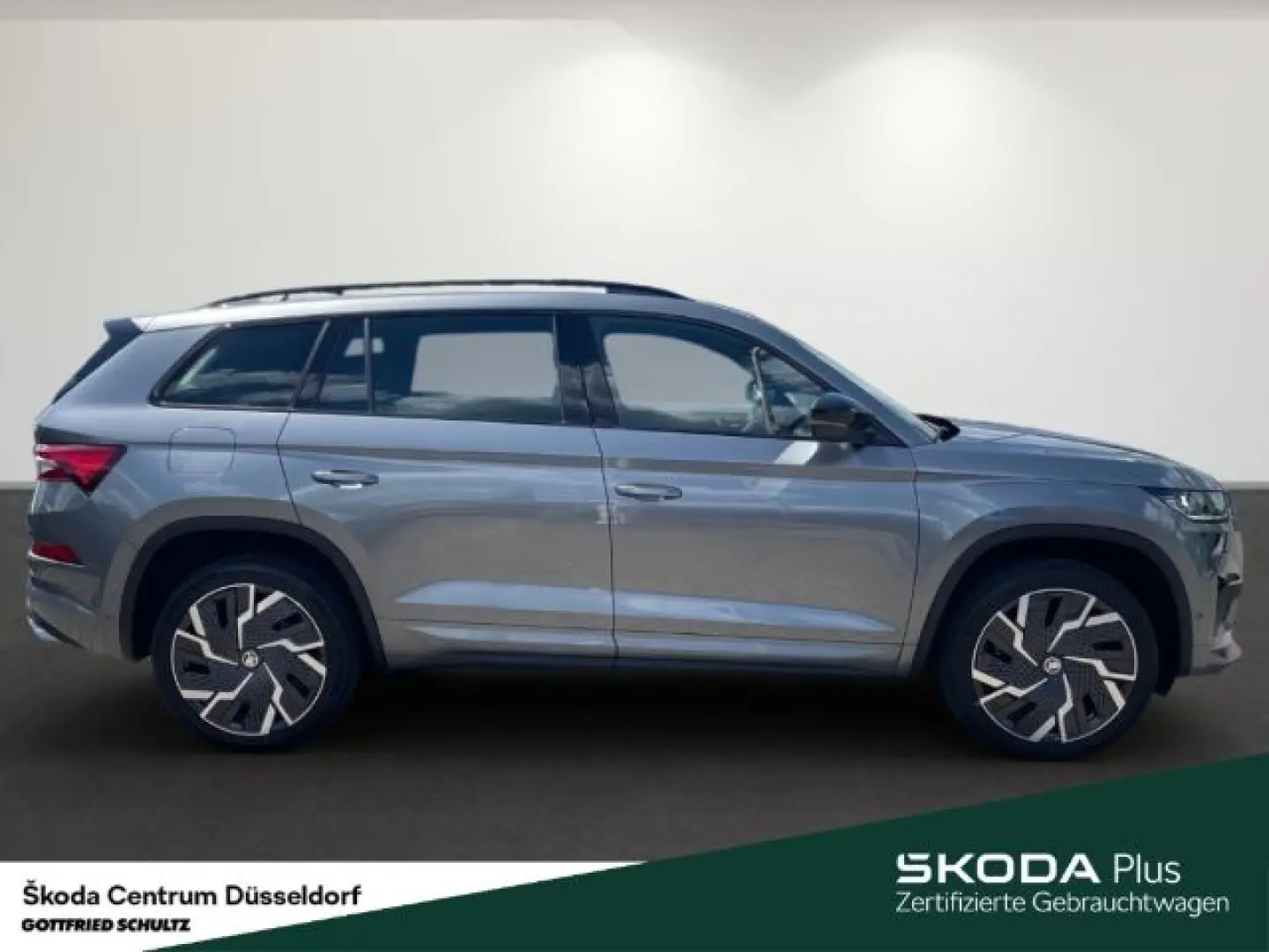 Kodiaq RS 4x4 TSI AHK PANO Kamerasystem 360 Busi
