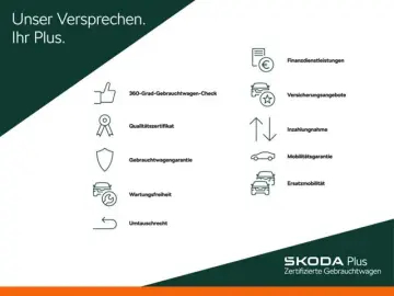 Kodiaq RS 4x4 TSI AHK PANO Kamerasystem 360 Busi