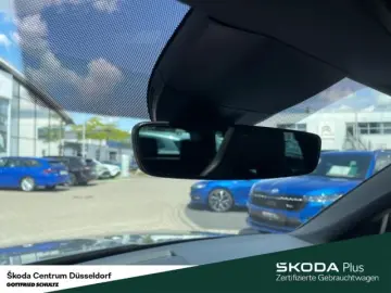 Kodiaq RS 4x4 TSI AHK PANO Kamerasystem 360 Busi
