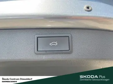 Kodiaq RS 4x4 TSI AHK PANO Kamerasystem 360 Busi