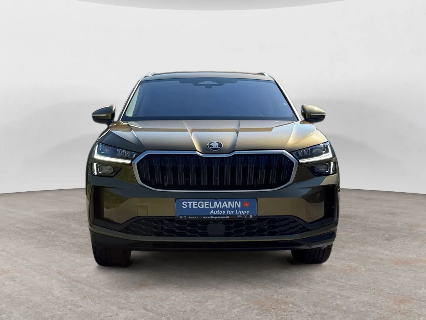 Kodiaq 2.0 TDI 4x4 DSG Selection AHK*Matrix*Soun