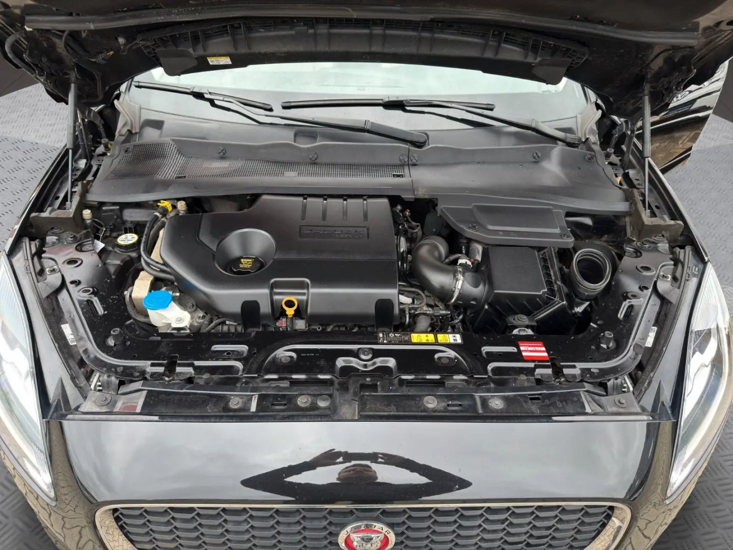 E-Pace SE AWD Automatik/RFK/Leder/AHK/Spur