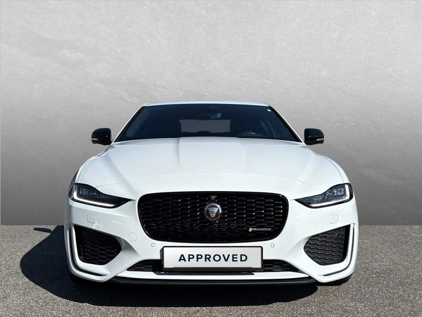 XE R-Dynamic Black AWD D200 HUD Winter ACC Clear