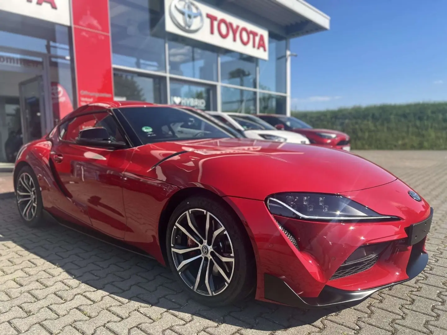 Supra Turbo Dynamic