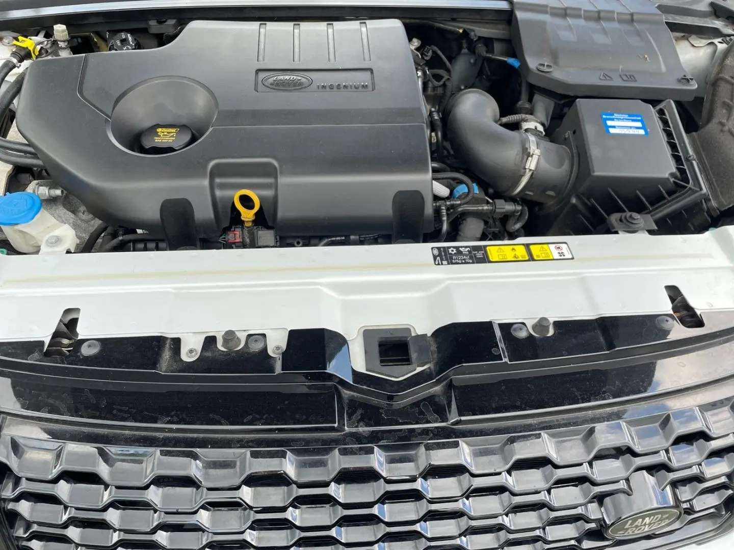 Range Rover Evoque Dynamite Leder Keyl.Entry Pan