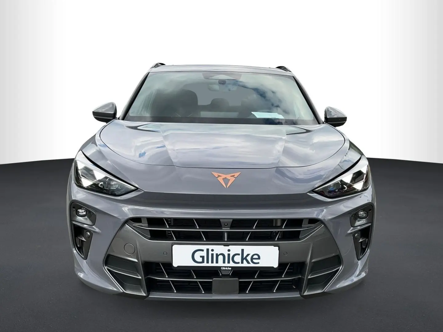 Cupra Terramar 2.0 TSI VZ 4Drive HD-MATRIX LED