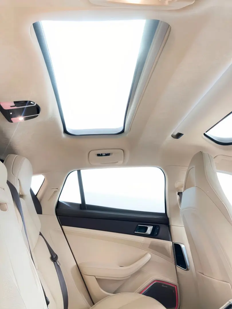 Porsche Panamera Turbo S E-Hybrid Burmester