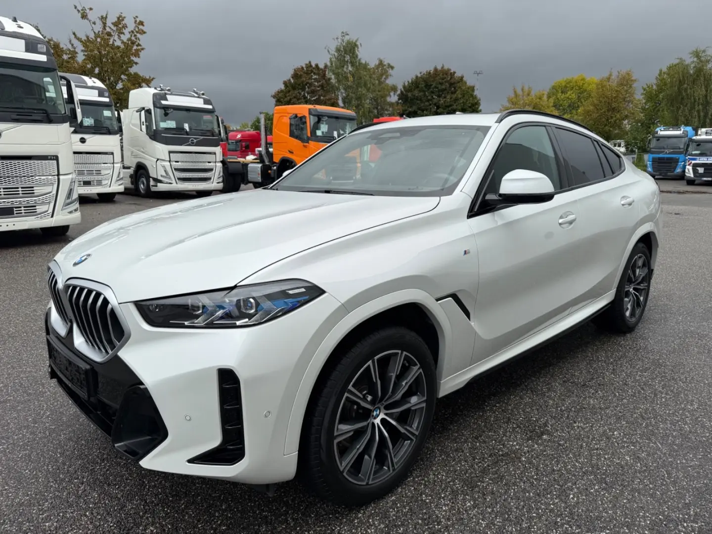 X6 Baureihe X6 40 d xDrive M Sport