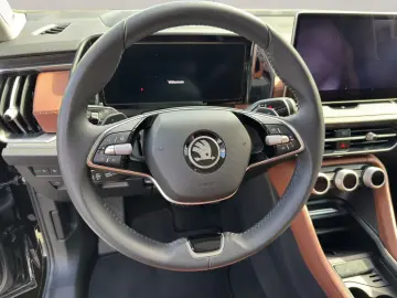 Kodiaq 2.0 TDI 193PS 4x4 Selection_Leder_Standh