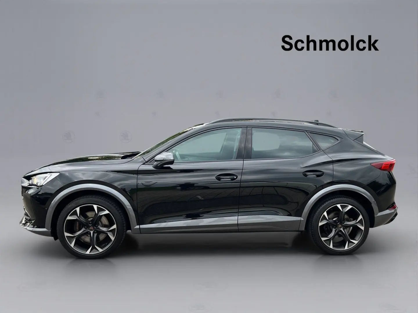 Formentor VZ 2.0 TSI DSG 4Drive PANO ACC NAVI