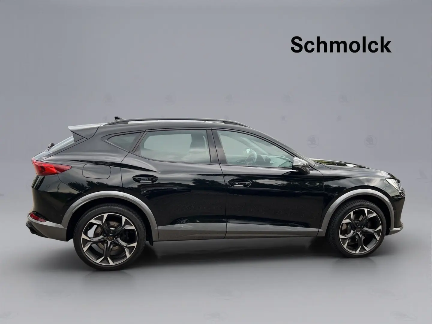 Formentor VZ 2.0 TSI DSG 4Drive PANO ACC NAVI