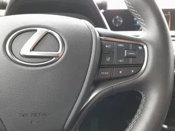 UX 250h Style Edition *Bi-LED*ACC*CAM*SHZ*CarPla
