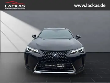 UX 250h STYLE EDITION*LED*KAM*CARPLAY*GARANTIE