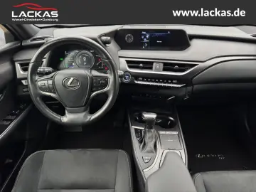 UX 250h STYLE EDITION*LED*KAM*CARPLAY*GARANTIE