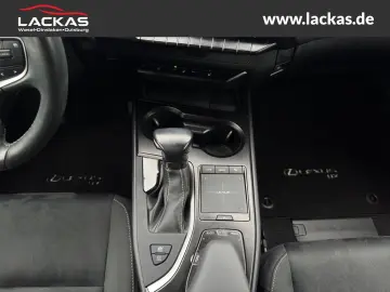 UX 250h STYLE EDITION*LED*KAM*CARPLAY*GARANTIE
