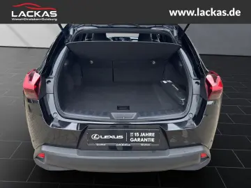 UX 250h STYLE EDITION*LED*KAM*CARPLAY*GARANTIE