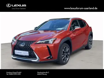 UX 250 h Style Edition