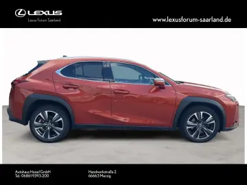 UX 250 h Style Edition