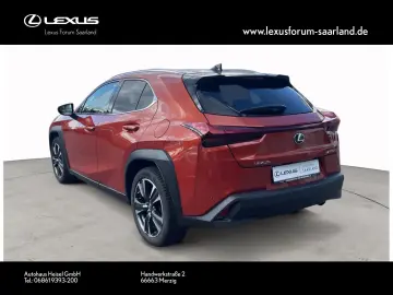 UX 250 h Style Edition