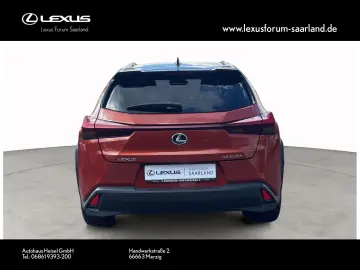 UX 250 h Style Edition