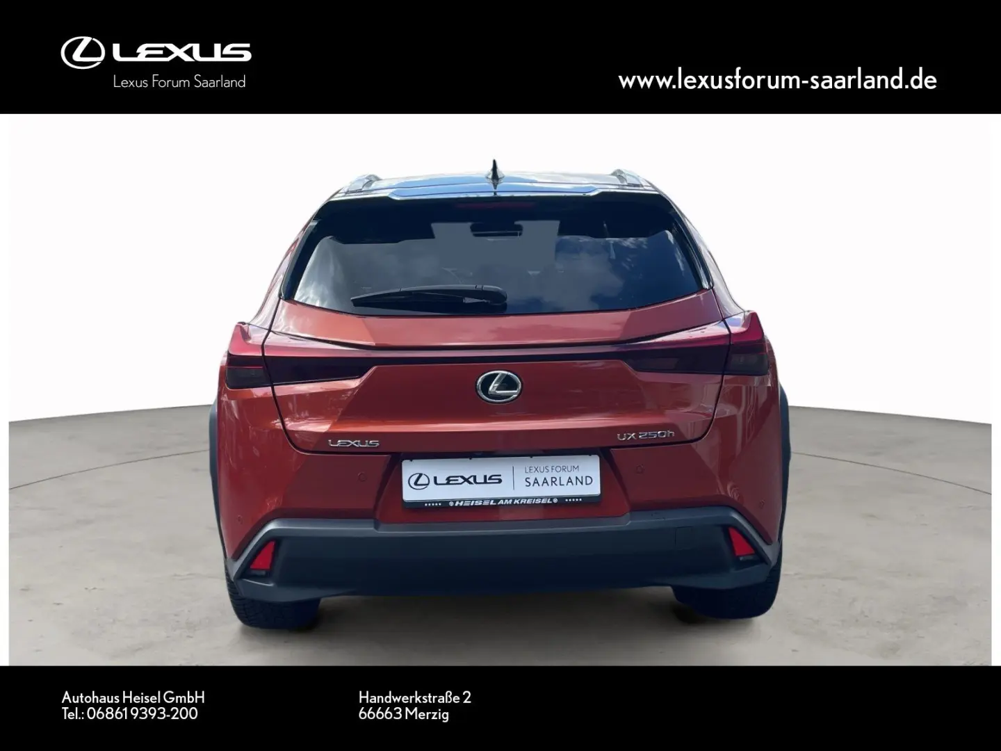 UX 250 h Style Edition