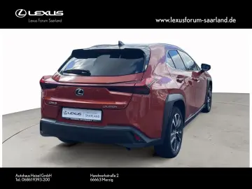 UX 250 h Style Edition
