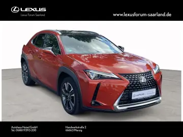 UX 250 h Style Edition