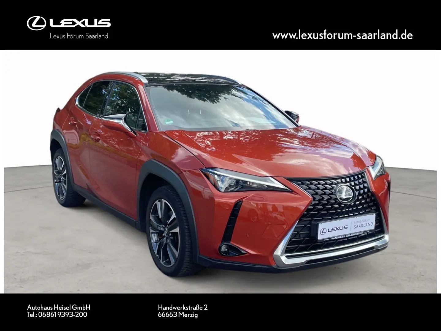UX 250 h Style Edition