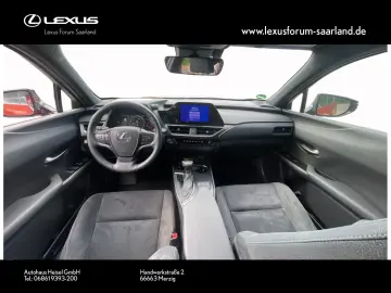 UX 250 h Style Edition
