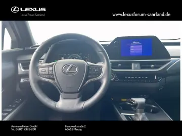 UX 250 h Style Edition