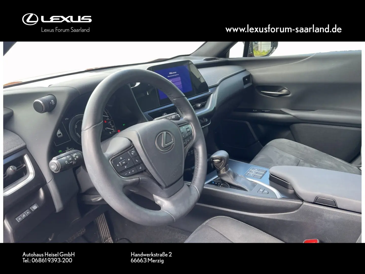 UX 250 h Style Edition