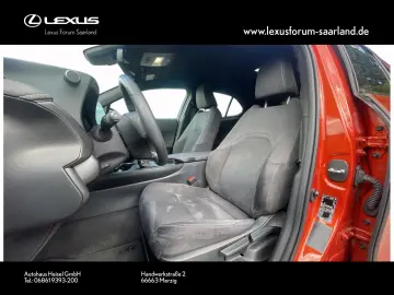 UX 250 h Style Edition