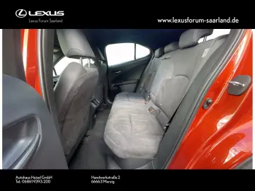 UX 250 h Style Edition