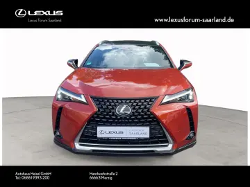 UX 250 h Style Edition