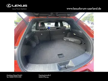 UX 250 h Style Edition
