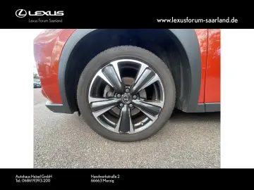 UX 250 h Style Edition