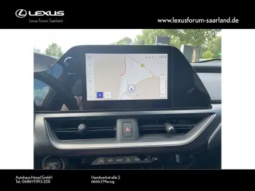 UX 250 h Style Edition