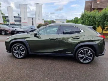 UX 250h Style Edition