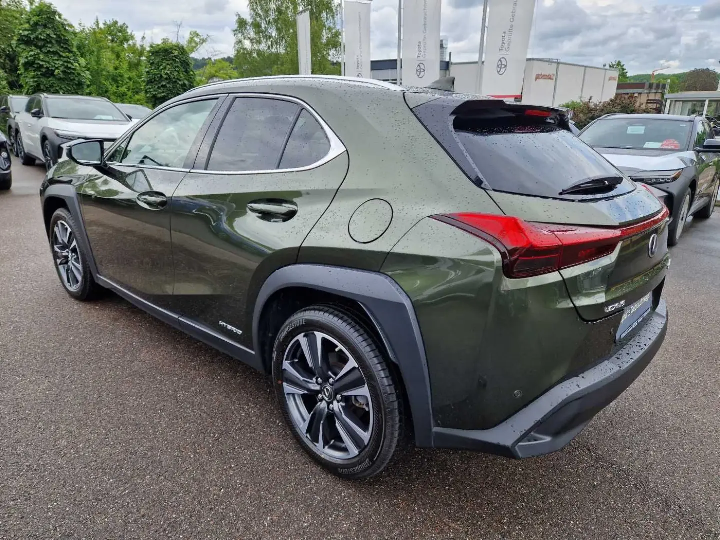 UX 250h Style Edition