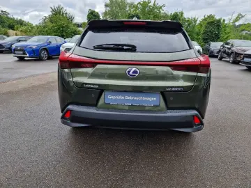 UX 250h Style Edition